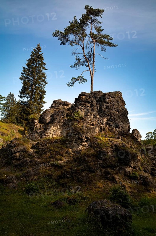 Dolomite rocks, sea of rocks, Wental, Barholomä, Swabian Alb, Baden-Württemberg, Germany, Europe