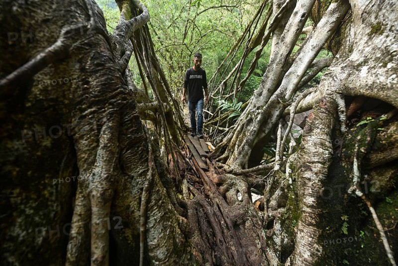 Tourists at the Bouble decker living root bridge amid COVID-19 coronavirus pandemic, in Nongriat village in Northeastern India state Meghalaya, on 19 April 2021. The living root bridges, created by the members of the Khasi tribe who have grown them from rubber trees, are native to the region. The double-decker root bridge, is the most famous one near Cherapunji