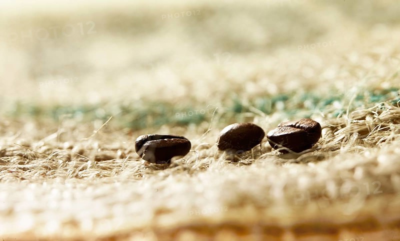 Coffee beans on coffee sack, close-up