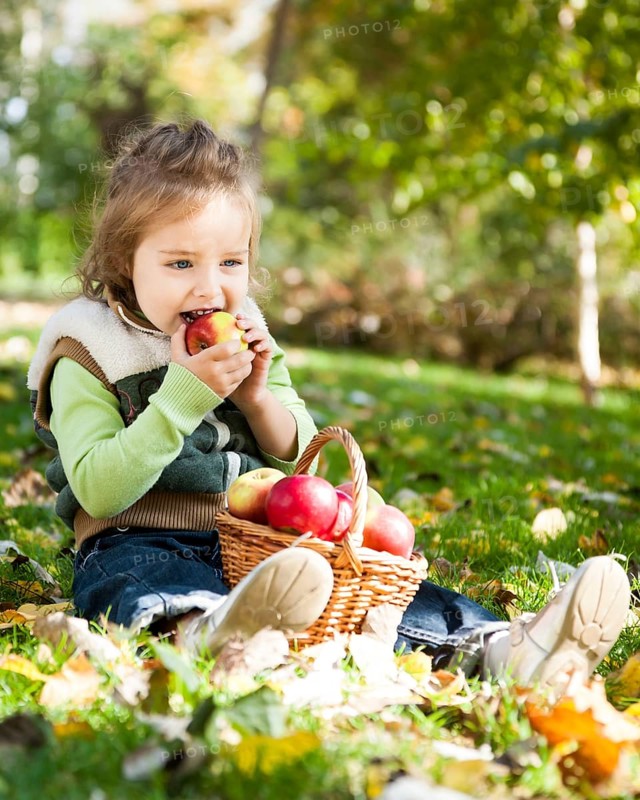 Child eating red apple in autumn park