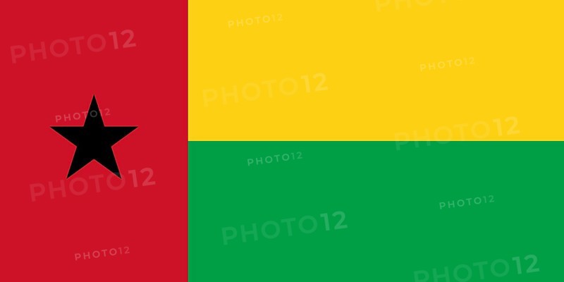 Flag of Guinea-Bissau, Vector illustration