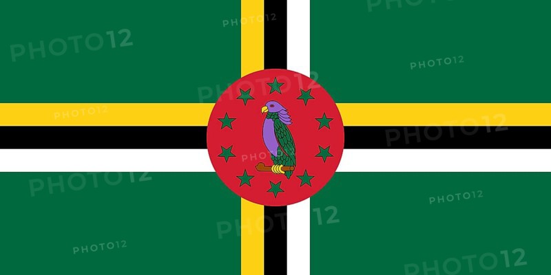 Flag of Dominica, Vector illustration