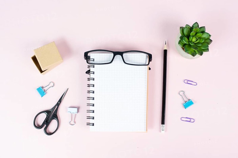 Empty notebook with a pen, eyeglasses and a cactus on a pastel colored desk, brainstorming for new ideas, writing a message, home office workplace