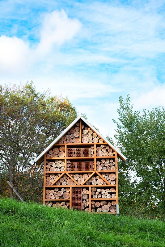 Wooden insect hotel, habitat for bugs and bees, rescue house, environment and ecology conversation, protect wildlife