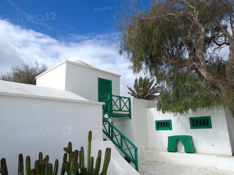 White building with green doors and window frames, surrounded by a tree and cacti under a cloudy sky, arrecife, Lanzarote, Canary Islands, Spain, Europe