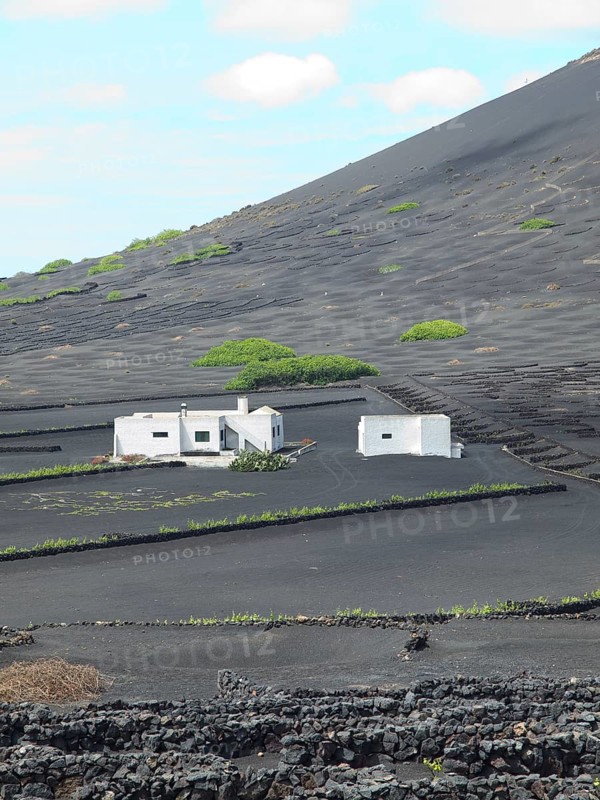 White house with lava stone walls and low plants, embedded in black lava fields, arrecife, Lanzarote, Canary Islands, Spain, Europe