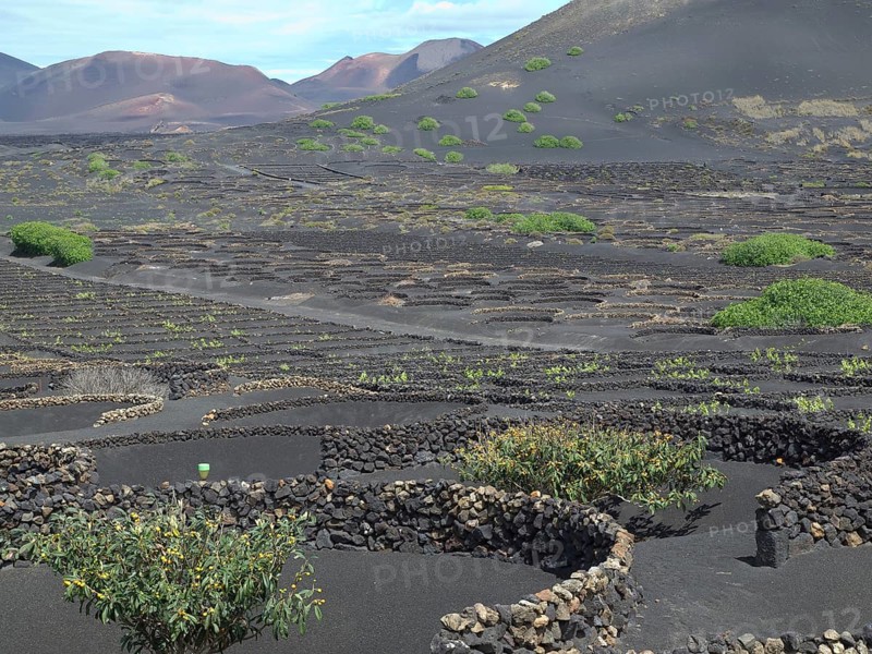 Black lava fields with some green bushes and volcanic hills in the background, arrecife, Lanzarote, Canary Islands, Spain, Europe