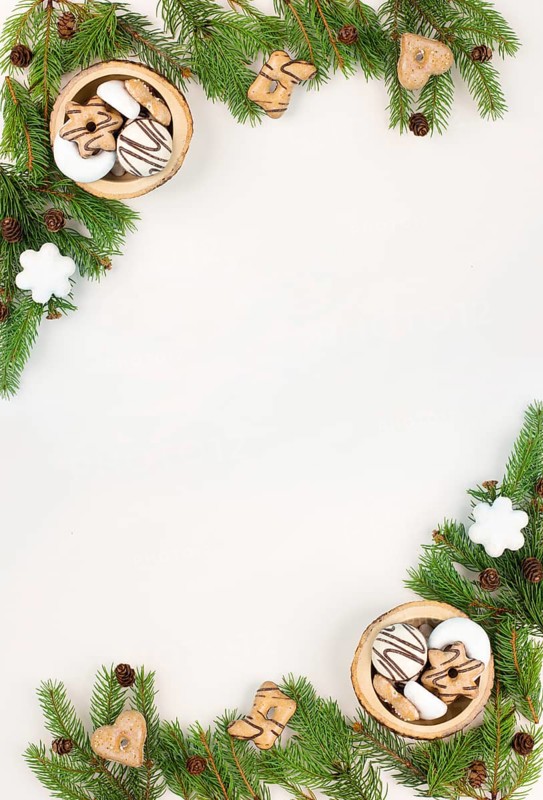 Nurnberg elisen gingerbread mix, traditional german christmas sweets with fir branches and pine cones, holiday background with copy space