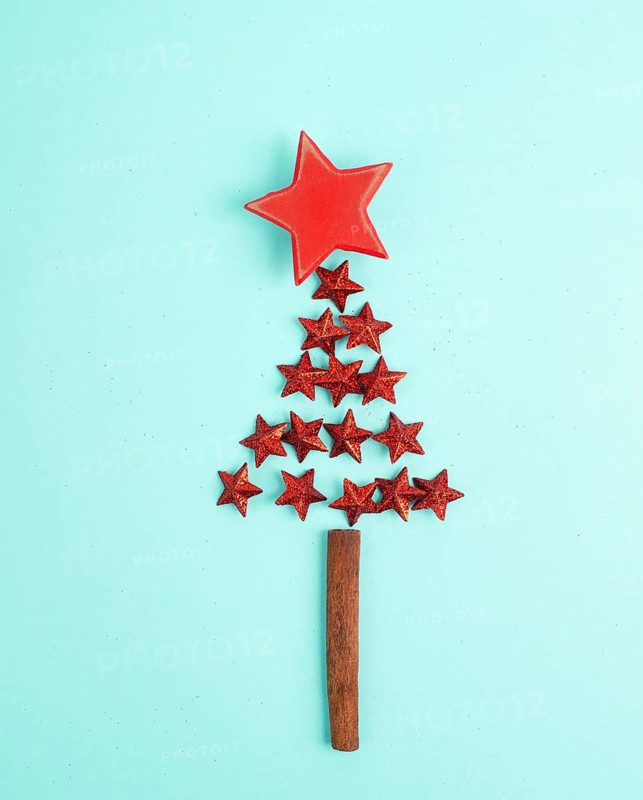 Christmas tree made from red stars and a cinnamon stick as the trunk, winter holiday greeting card with copy space