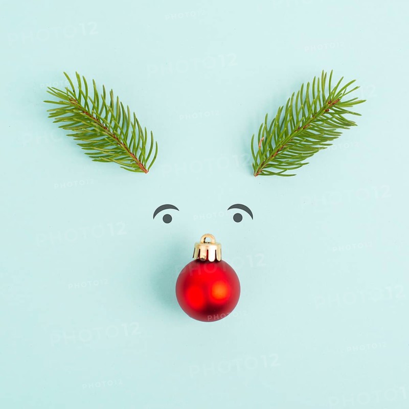 Face of a reindeer with a red bauble nose, fir antlers and friendly eyes, merry christmas greeting card