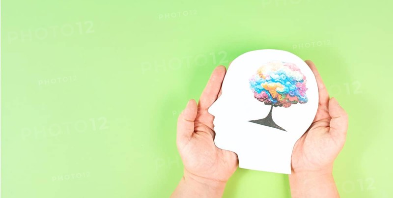 Holding a head with a colorful tree in the hands, symbol for creativity, connection to nature and positive emotion, living in a dream world