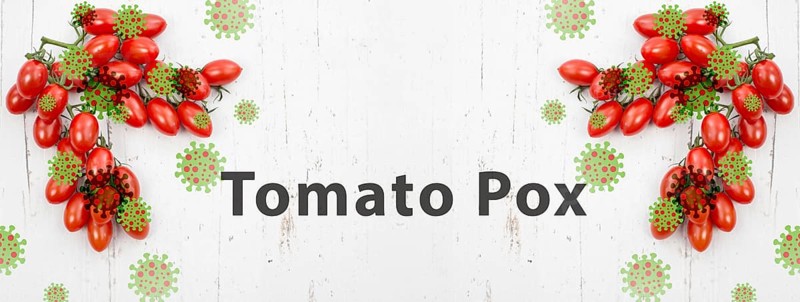 Tomato pox, outbreak of the virus in India, infectious disease spreading