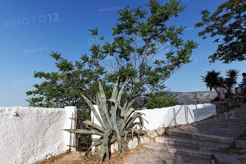 Panoramic path with white Cycladic-style wall, traditional residential neighbourhood of Anafiotika, Athens, Greece, Europe