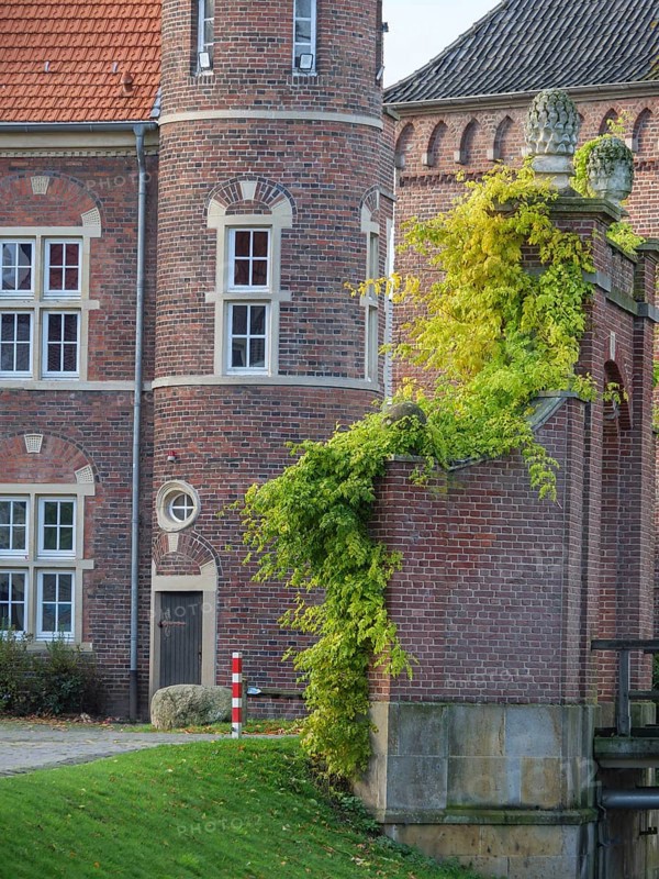 A detail of a historic castle with red brick walls, windows and ivy, embedded in an autumnal setting, gemen, münsterland, westphalia, germany