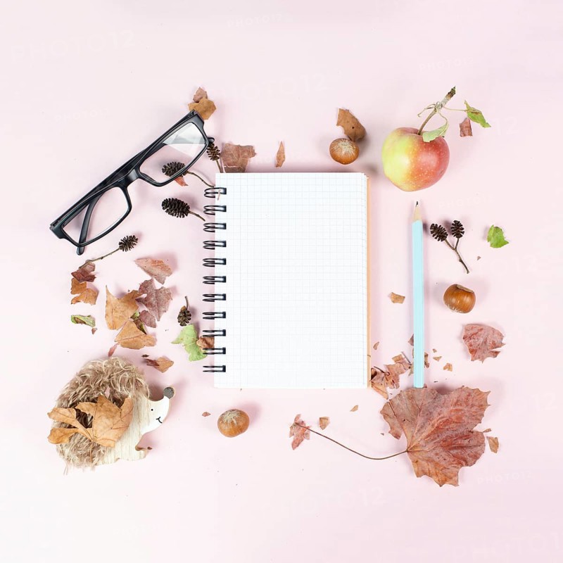 Empty notebook with an apple and a hedgehog, autumn template with colorful leaves, office desk, pastel color