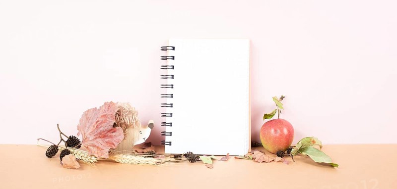 Empty notebook with an apple and a hedgehog, autumn background with colorful leaves, office desk, pastel color