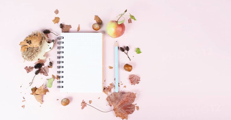 Empty notebook with an apple and a hedgehog, autumn template with colorful leaves, office desk, pastel color