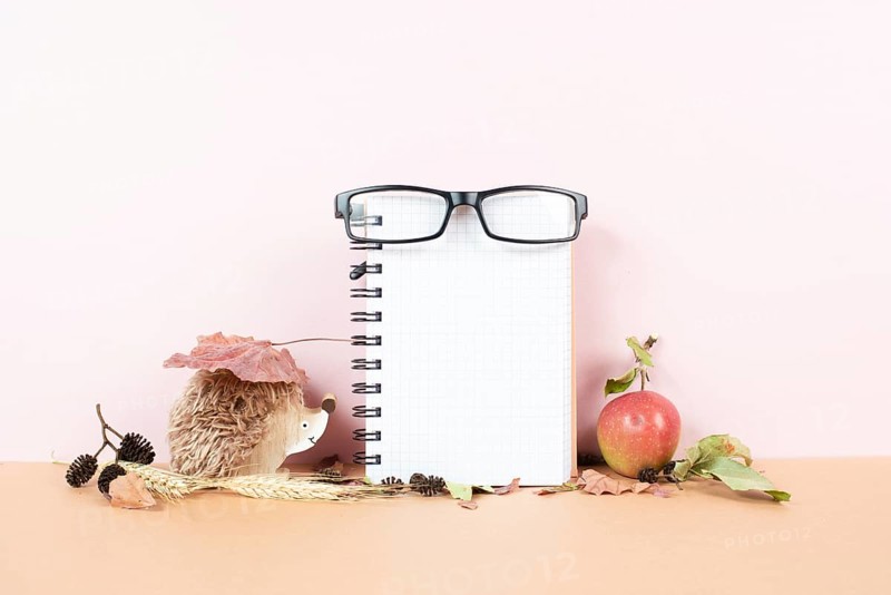 Empty notebook with eyeglasses, an apple and a hedgehog, autumn template with colorful leaves, office desk, pastel color