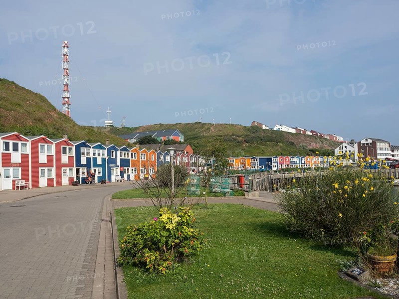 Colourful houses and a lighthouse on a quiet street next to a meadow, Heligoland, North Sea, Germany, Europe