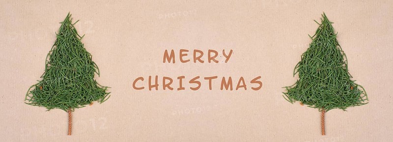 Christmas trees made from fir needles, holiday greeting card, winter season