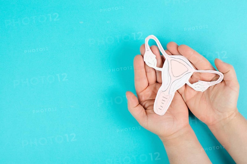 Holding an uterus organ with ovaries in the hands, female reproductive system, pregnancy and gynecological concept, diseases like cancer and polycystic