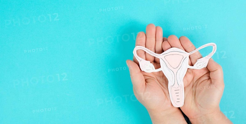 Holding an uterus organ with ovaries in the hands, female reproductive system, pregnancy and gynecological concept, diseases like cancer and polycystic