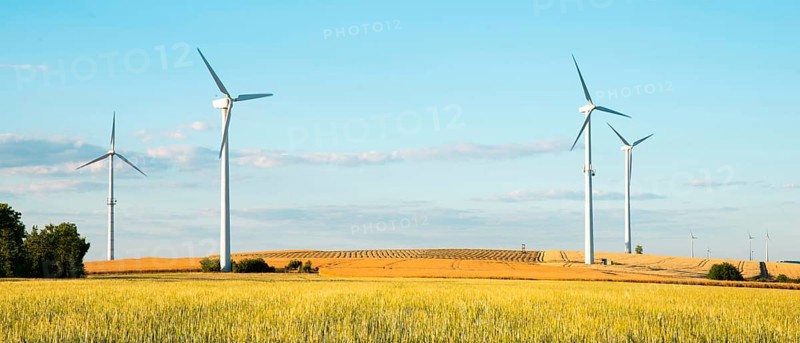 Windmills in a wheat field, renewable sustainable energy, electricity generator, environmental conversation