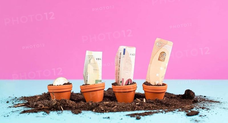 Euro banknotes in small flowerpots, money growing, financial planning, profitable investment, hope concept
