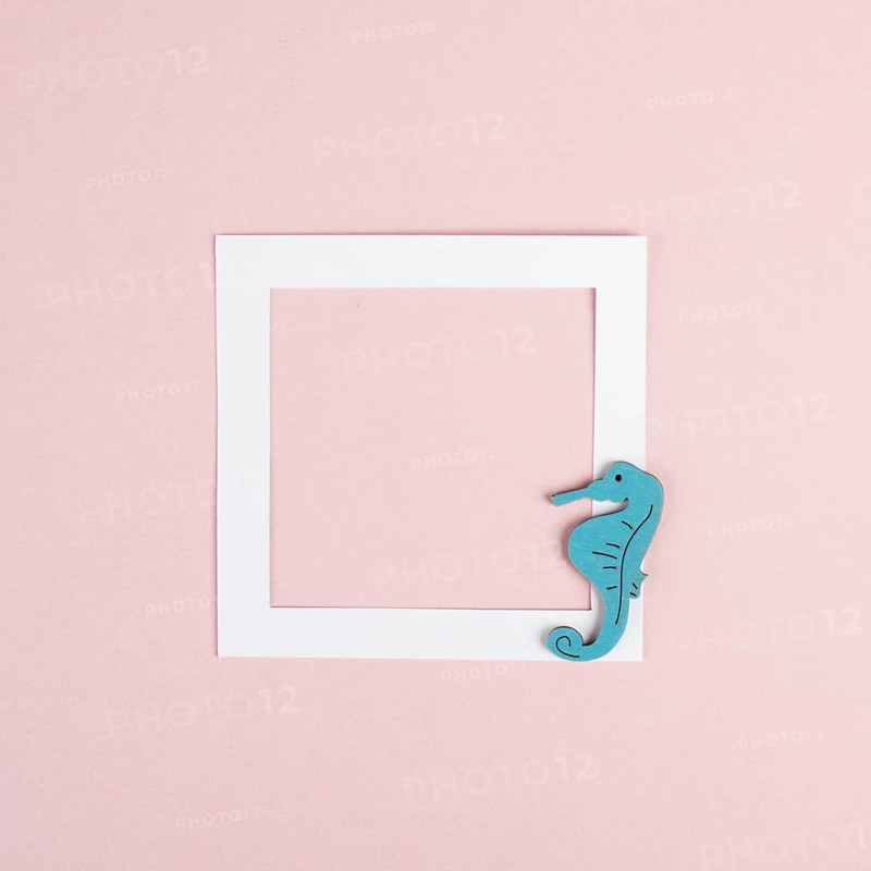 Vacation background with a frame, text box on a pastel rose colored background, holiday trip, greeting card with seahorse, summer season by the sea