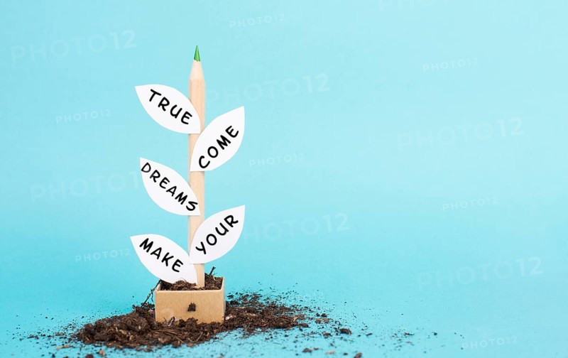 The phrase make your dreams come true is standing on the leaves of the plant, futuristic vision, positive mindset, motivation and coaching concept, follow your idea