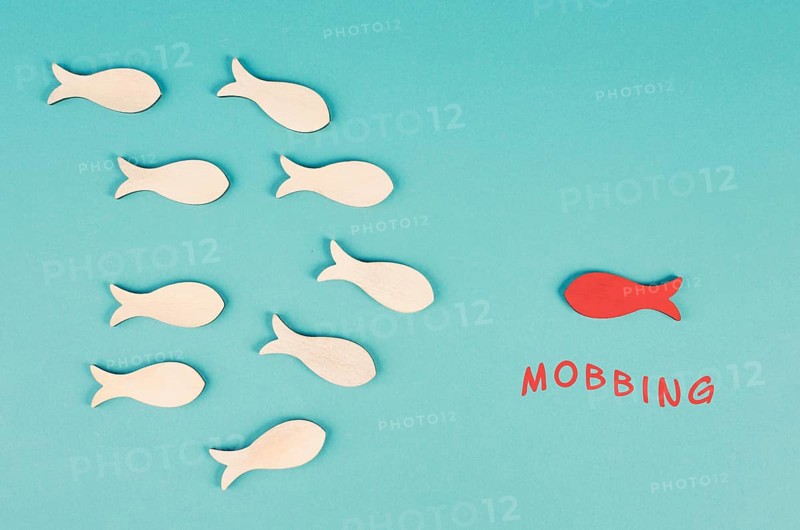 Group of fish mobbing a victim, social conflict, bullying one, discrimination and exclusion