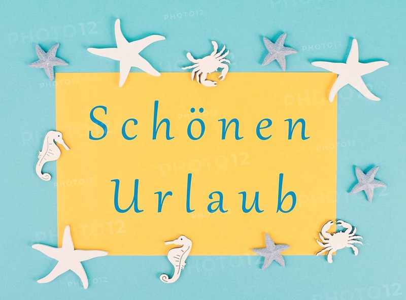 Yellow colored paper with the words nice vacation in german language, sea stars, seahorses and crab bulding a frame, summer holiday, tourism travel destination