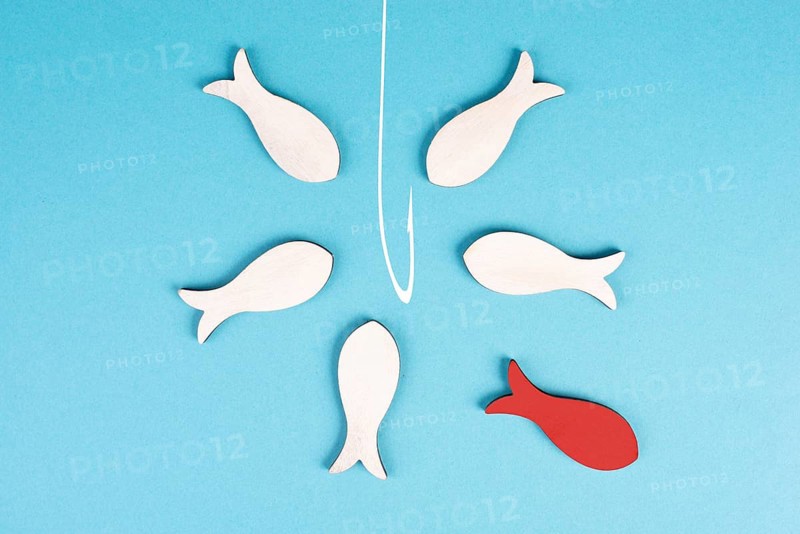 One red fish takes a different direction, leader of the group, leadership and teamwork concept, be a winner, success and start up in business, follow a new idea, jump to freedom