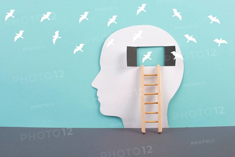 Silhouette of a man, window to the brain, birds flying, ladder of success, open minded, brainstorming for ideas, disorder and psychology concept