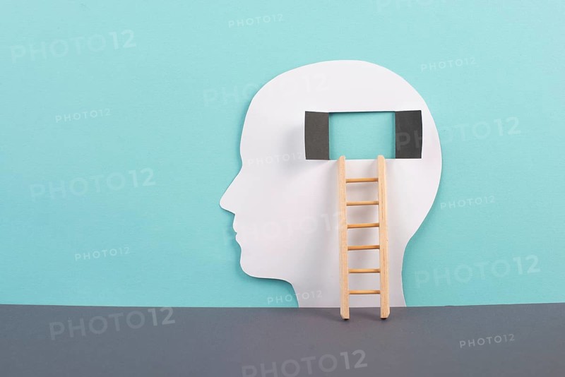 Silhouette of a man, window to the brain, ladder of success, open minded, brainstorming for ideas, disorder and psychology concept