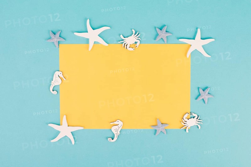 Empty yellow colored paper, sea stars, seahorses and crab bulding a frame, summer vacation, tourism travel destination, copy space for text