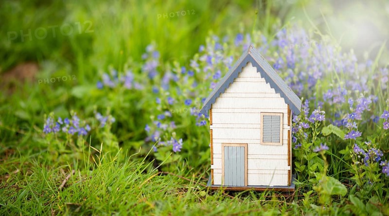 Wooden house in a meadow, buying or renting a house in nature, real estate concept, booking home for vacation, copy space for text