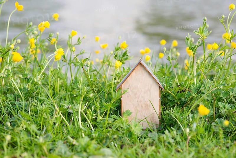 Wooden house in a meadow, buying or renting a house in nature, real estate concept, booking home for vacation, copy space for text