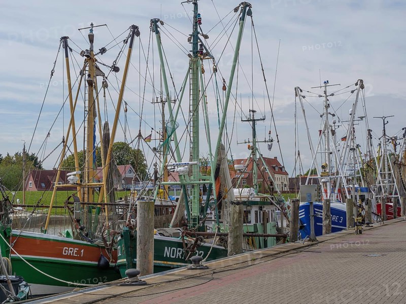 Several fishing boats are moored at the jetty, with nets and ropes ready for the next job, greetsiel, east frisia, germany