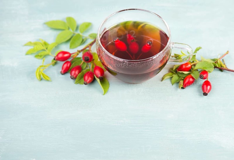 Hip rose tea with fresh fruits and leaves, hot drink
