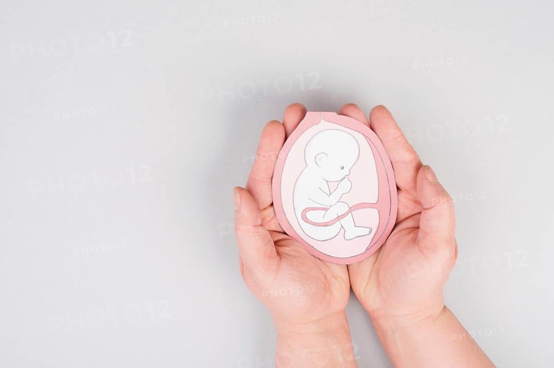 Unborn baby in the uterus, drawing of a fetus in the last trimester of pregnancy, childbirth and motherhood, gynecology health care