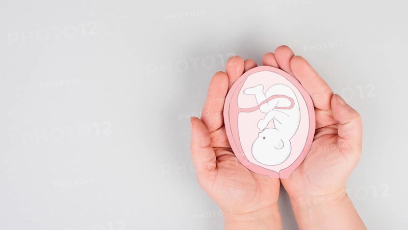 Unborn baby in the uterus, drawing of a fetus in the last trimester of pregnancy, childbirth and motherhood, gynecology health care