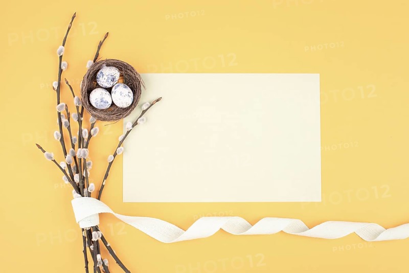 Easter holiday and spring background, empty paper for text, pastel colors, nest with eggs, pussy willow, greeting card