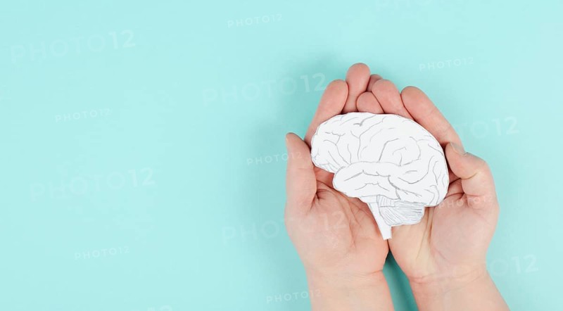 Holding a brain in the hands, Parkinson disease, Alzheimer awardness, mental disorder dementia, psychology problems, cerebral vein thrombosis