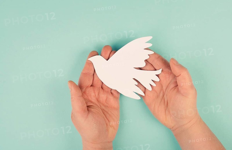 Holding a white dove in the hands, symbol of peace, paper cut out, copy space for text