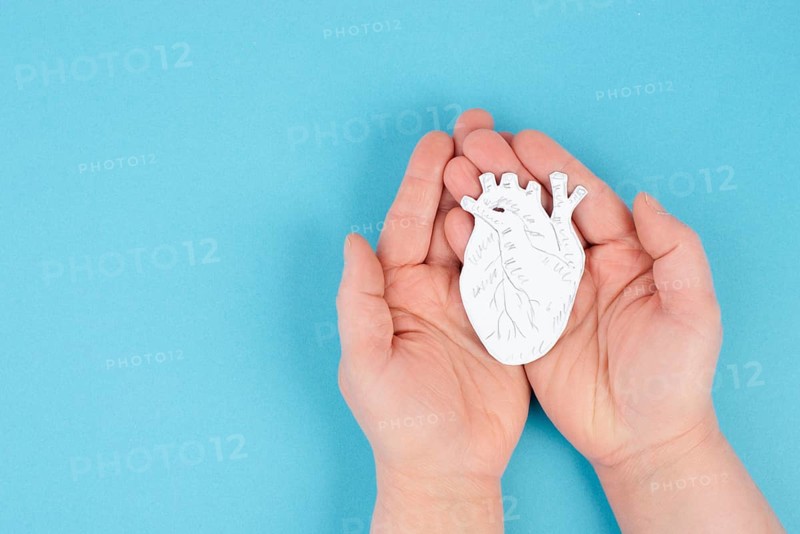 Woman is holding a heart in her hand, world heart day, blue colored background, heartbeat, health issue, myocarditisside effectvaccine