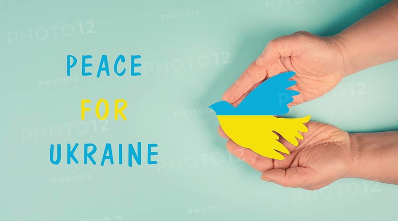 Hands holding dove in the colors of the ukrainian flag, war with Russia, peace for Ukraine