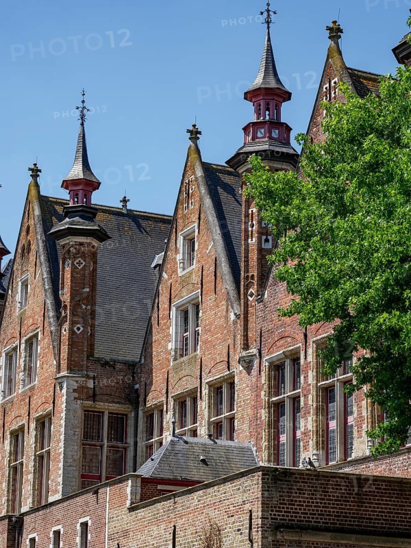 Large historic brick building with towers and many windows, next to a tree, Bruges, Flanders, Belgium, Europe