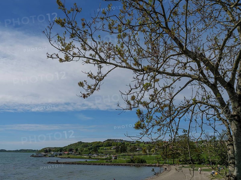Quiet coastal scene with trees and beach under a partly cloudy sky, ideal for relaxation, Stavanger, Norway, Scandinavia, Europe