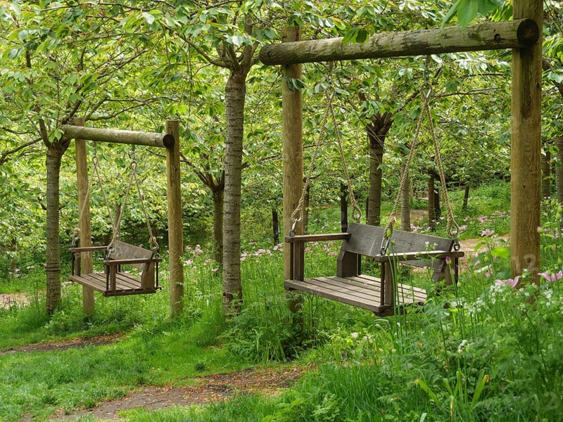 Two wooden garden swings hanging from a frame in the forest under green trees, Thynemouth, England, Great Britain
